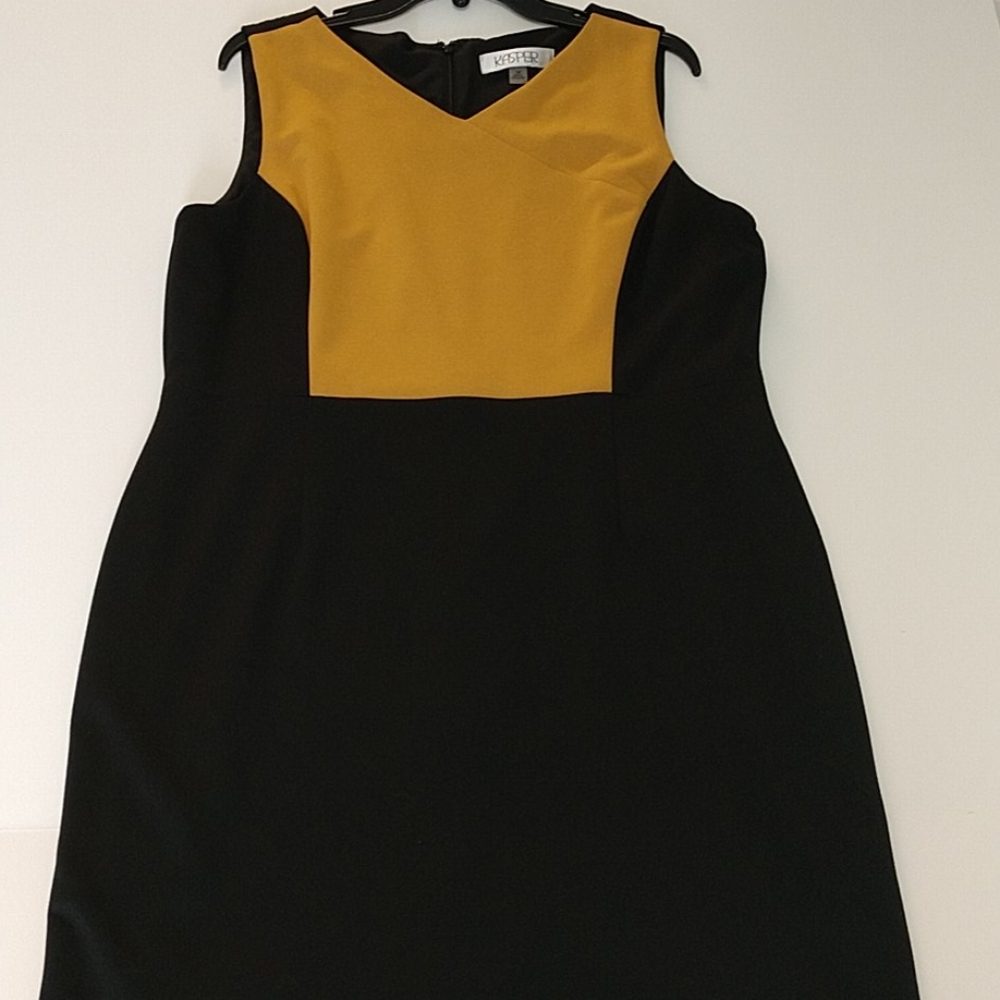 Kasper Petite Color-block Dress